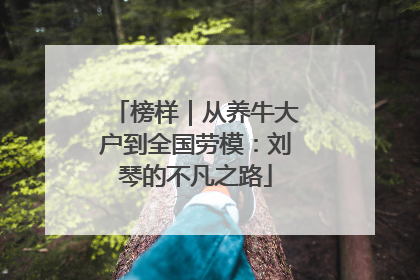 榜样｜从养牛大户到全国劳模：刘琴的不凡之路