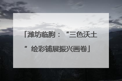 潍坊临朐：“三色沃土”绘彩铺展振兴画卷
