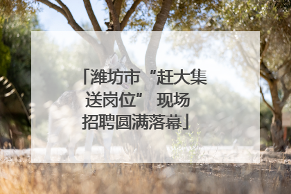 潍坊市“赶大集 送岗位” 现场招聘圆满落幕