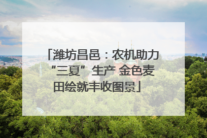 潍坊昌邑：农机助力“三夏”生产 金色麦田绘就丰收图景