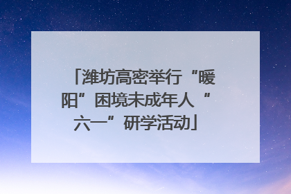 潍坊高密举行“暖阳”困境未成年人“六一”研学活动