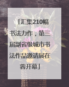 汇集210幅书法力作，第三届副省级城市书法作品邀请展在蓉开幕
