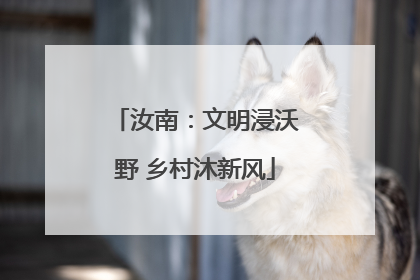 汝南：文明浸沃野 乡村沐新风