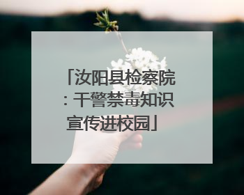 汝阳县检察院：干警禁毒知识宣传进校园