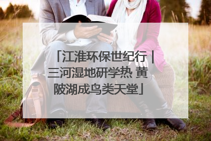 江淮环保世纪行｜三河湿地研学热 黄陂湖成鸟类天堂