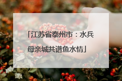 江苏省泰州市：水兵母亲城共谱鱼水情
