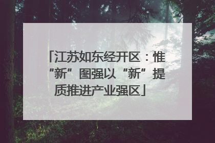 江苏如东经开区：惟“新”图强以“新”提质推进产业强区