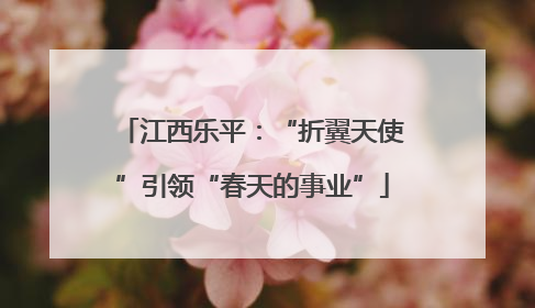 江西乐平：“折翼天使”引领“春天的事业”