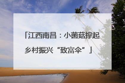 江西南昌：小菌菇撑起乡村振兴“致富伞”