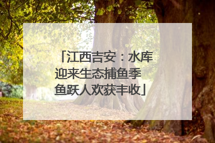 江西吉安：水库迎来生态捕鱼季 鱼跃人欢获丰收