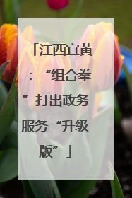 江西宜黄：“组合拳”打出政务服务“升级版”