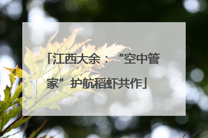 江西大余：“空中管家”护航稻虾共作