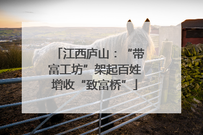 江西庐山：“带富工坊”架起百姓增收“致富桥”
