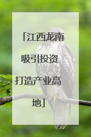 江西龙南 吸引投资打造产业高地