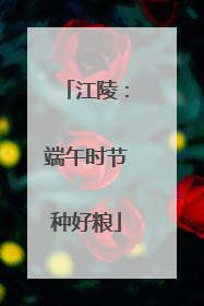 江陵：端午时节种好粮