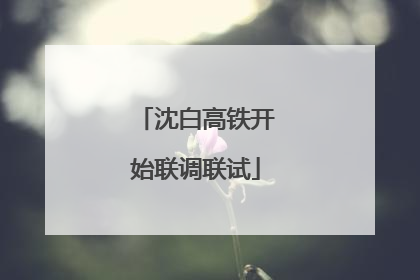 沈白高铁开始联调联试