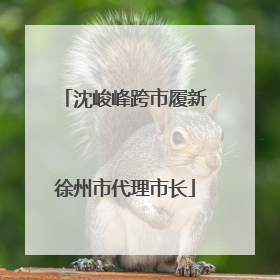 沈峻峰跨市履新徐州市代理市长