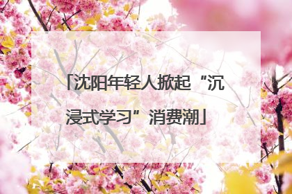沈阳年轻人掀起“沉浸式学习”消费潮