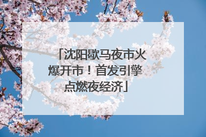 沈阳歇马夜市火爆开市！首发引擎点燃夜经济