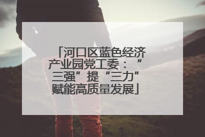 河口区蓝色经济产业园党工委：“三强”提“三力”赋能高质量发展