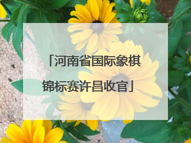 河南省国际象棋锦标赛许昌收官