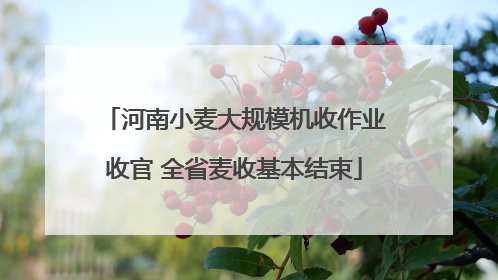 河南小麦大规模机收作业收官 全省麦收基本结束