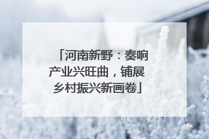 河南新野：奏响产业兴旺曲，铺展乡村振兴新画卷