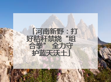 河南新野：打好秸秆禁烧“组合拳” 全力守护蓝天沃土