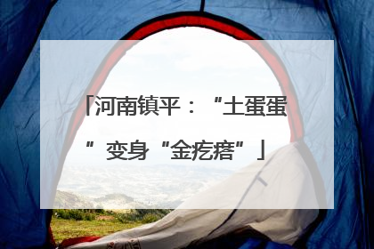 河南镇平：“土蛋蛋”变身“金疙瘩”