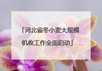 河北省冬小麦大规模机收工作全面启动