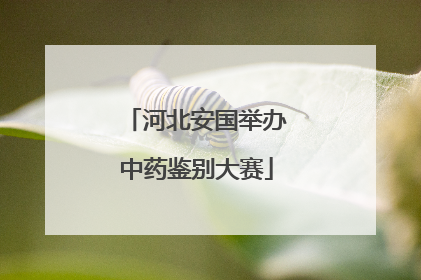 河北安国举办中药鉴别大赛