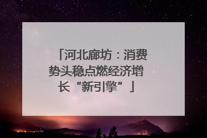 河北廊坊：消费势头稳点燃经济增长“新引擎”