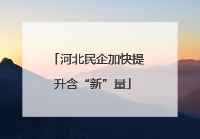 河北民企加快提升含“新”量