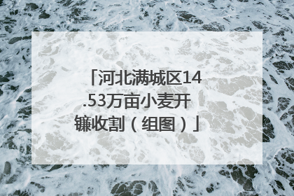 河北满城区14.53万亩小麦开镰收割（组图）