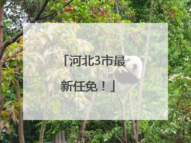 河北3市最新任免！