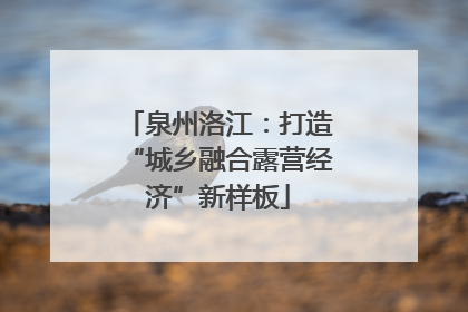 泉州洛江：打造“城乡融合露营经济”新样板