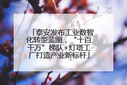 泰安发布工业数智化转型蓝图，“十百千万”梯队+灯塔工厂打造产业新标杆