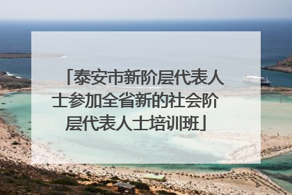 泰安市新阶层代表人士参加全省新的社会阶层代表人士培训班