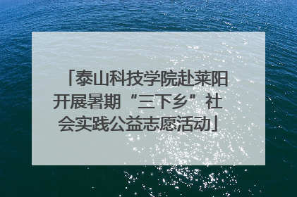 泰山科技学院赴莱阳开展暑期“三下乡”社会实践公益志愿活动