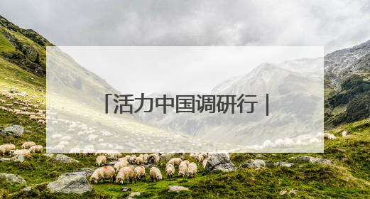 活力中国调研行｜“车路云网图”一体化，北京探索自动驾驶“加速度”