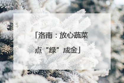洛南：放心蔬菜点“绿”成金