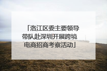 洛江区委主要领导带队赴深圳开展跨境电商招商考察活动