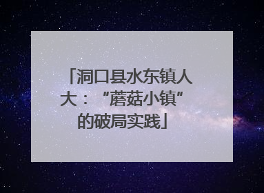 洞口县水东镇人大：“蘑菇小镇”的破局实践