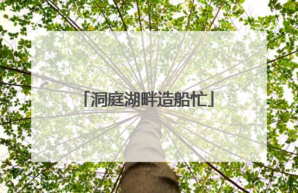 洞庭湖畔造船忙