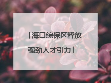 海口综保区释放强劲人才引力