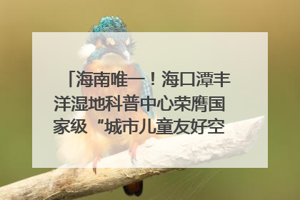 海南唯一！海口潭丰洋湿地科普中心荣膺国家级“城市儿童友好空间建设园区”称号