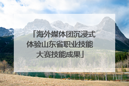 海外媒体团沉浸式体验山东省职业技能大赛技能成果