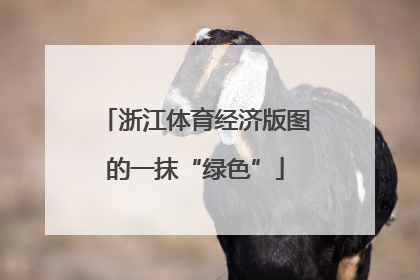 浙江体育经济版图的一抹“绿色”