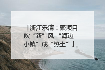浙江乐清：聚项目吹“新”风 “海边小镇”成“热土”