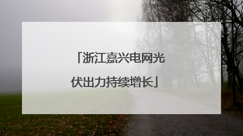 浙江嘉兴电网光伏出力持续增长